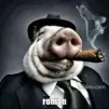 Тимурка